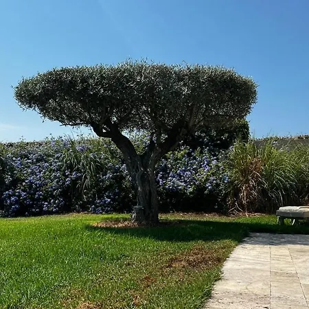 Alba Готель типу 