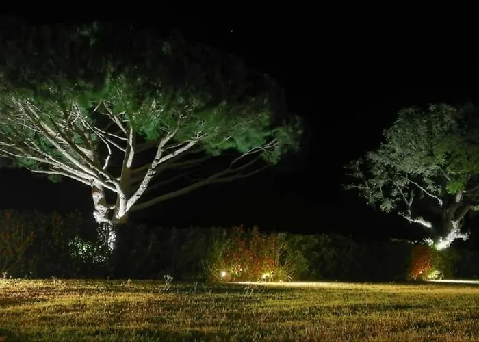 Alba Panzió Saint-Tropez