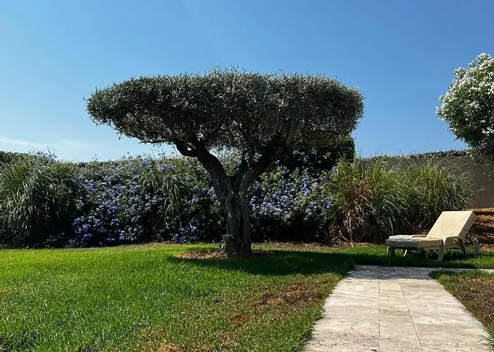 Alba Bed & Breakfast Saint Tropez