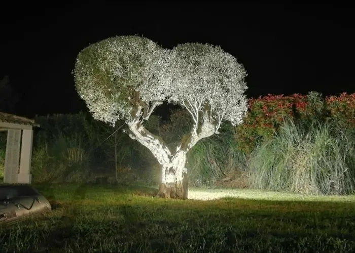 Bed & Breakfast Alba